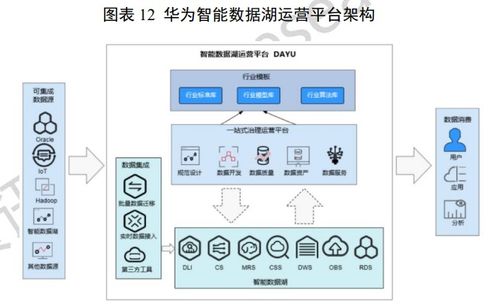 中國數(shù)據(jù)湖產(chǎn)品重點(diǎn)廠商全景掃描 賦能大數(shù)據(jù)服務(wù)新生態(tài)